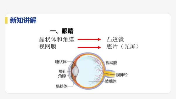 5.4  眼睛与眼镜  课件