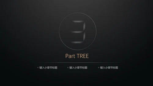 黑金轻奢商业计划书通用PPT模版