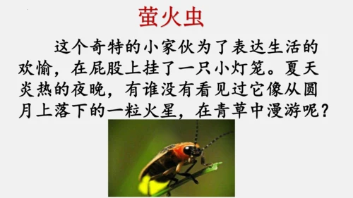 八年级上册语文第五单元 名著导读 《昆虫记》 课件