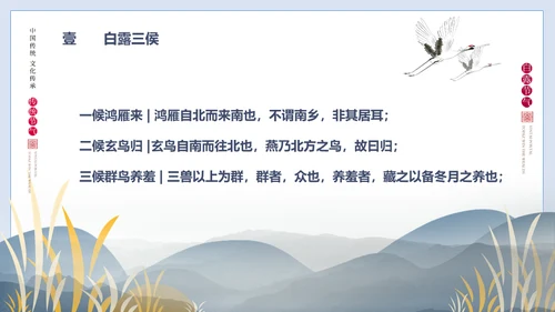 白露节气白鹤通用PPT模版