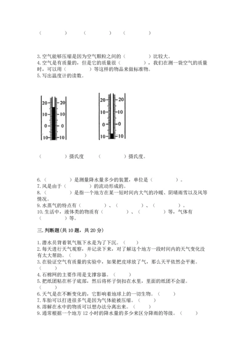 教科版三年级上册科学《期末测试卷》精品【必刷】.docx