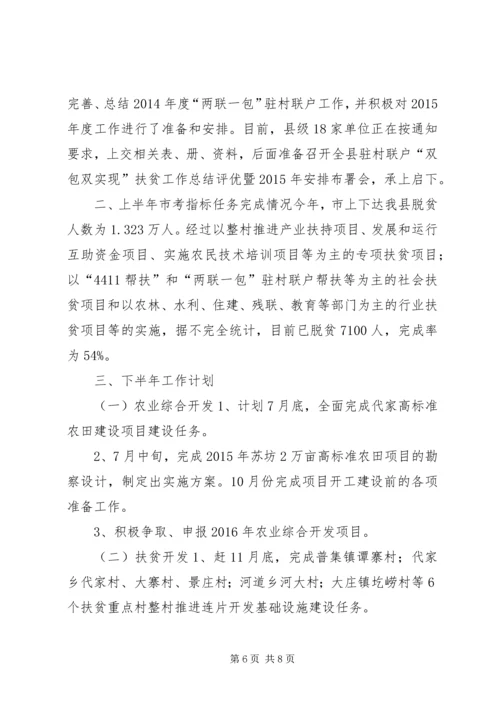 扶贫办上半年工作总结及下半年工作计划.docx