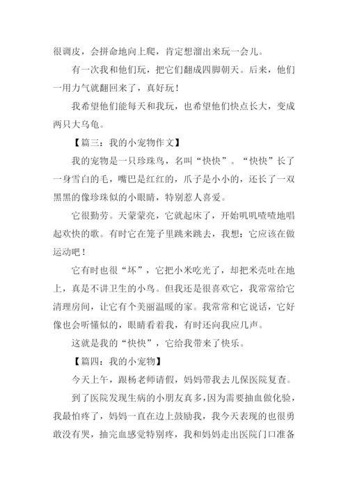 我的小宠物作文200字.docx