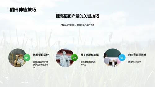 稻田科学种植