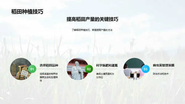 稻田科学种植