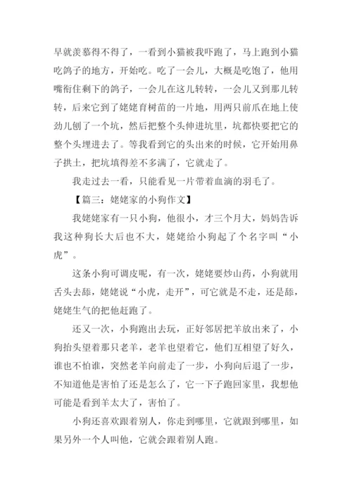 姥姥家的小狗作文300字.docx