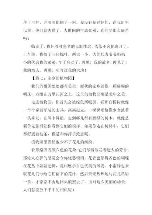 写家乡的一处景物作文.docx