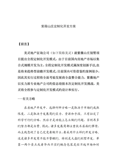 山庄定制化开发专题方案.docx