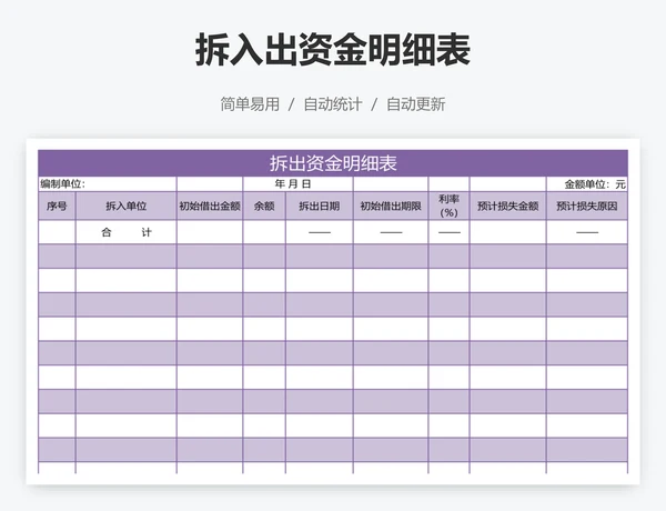 拆入出资金明细表