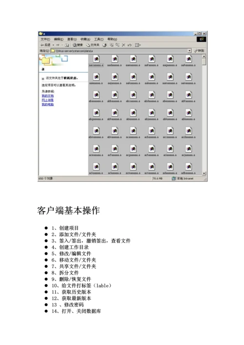 VSS2005客户端操作手册.docx