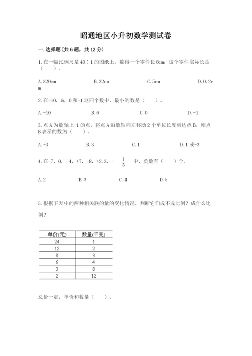 昭通地区小升初数学测试卷及答案1套.docx