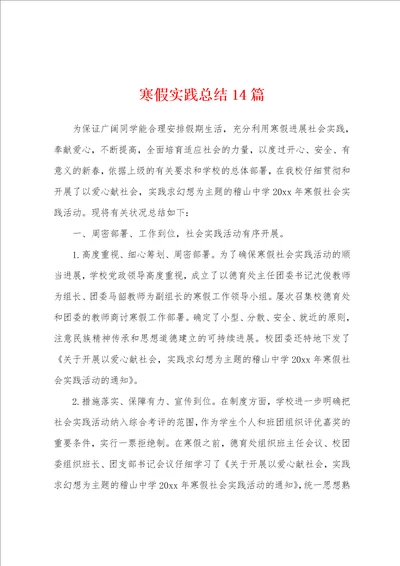 寒假实践总结14篇