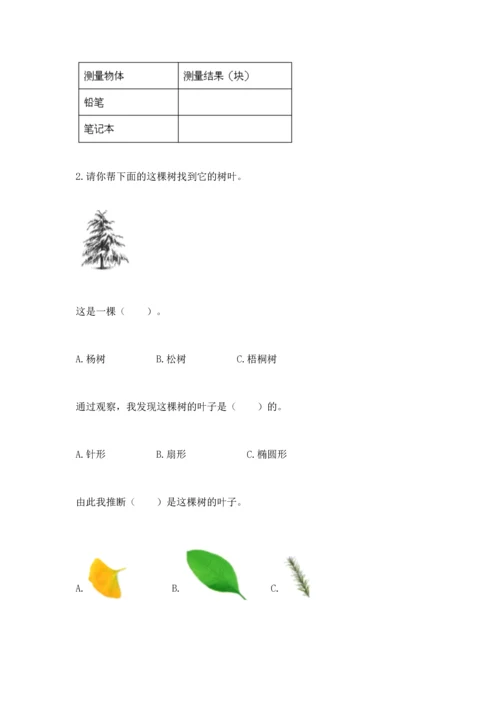 教科版一年级上册科学期末测试卷（基础题）.docx