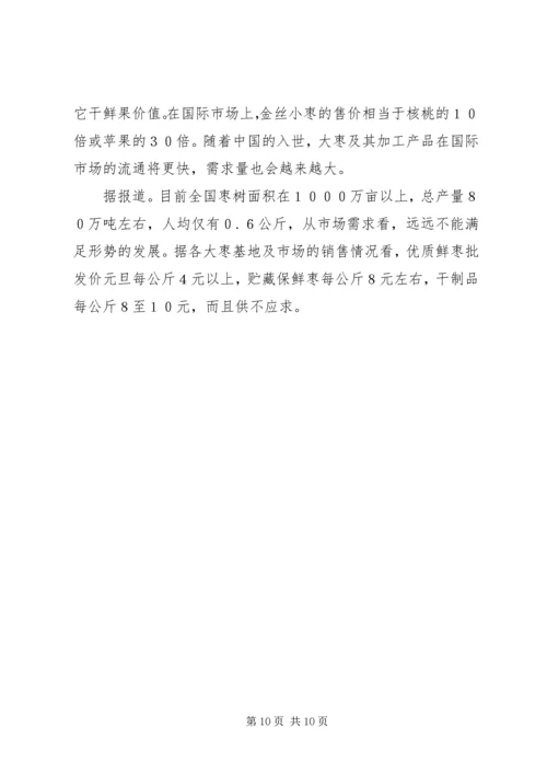 兴办事处大力发展枣粮间作产业 (2).docx