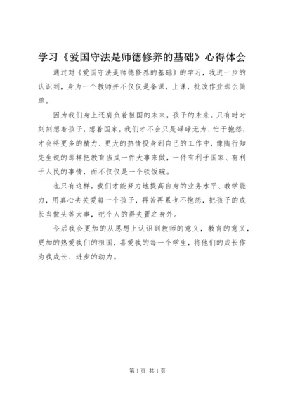 学习《爱国守法是师德修养的基础》心得体会 (2).docx