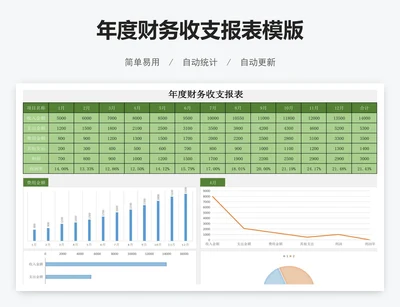 年度财务收支报表模版