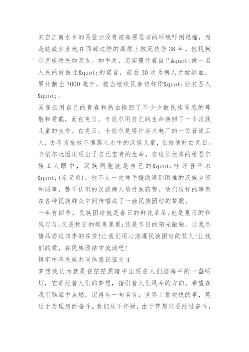 铸牢中华民族共同体意识征文12篇.docx