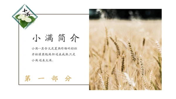 金色麦穗丰收的稻谷小满通用PPT模板