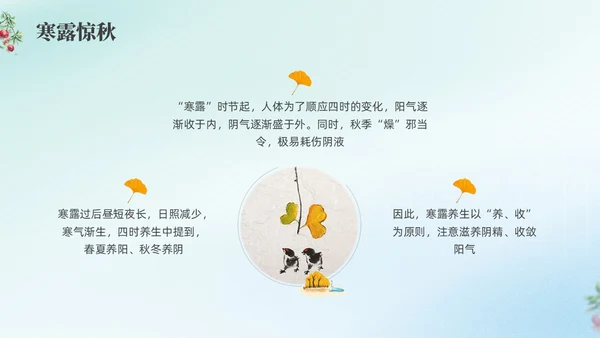 彩色弥撒寒露养生二十四节气PPT课件