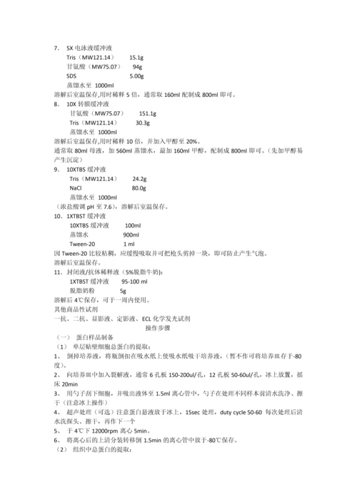 Westernblot试剂配制及操作流程.docx
