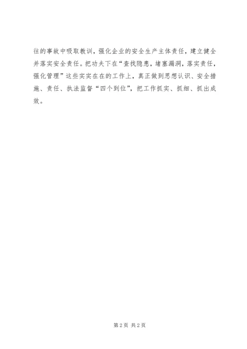 国有大企业更应重视安全生产.docx