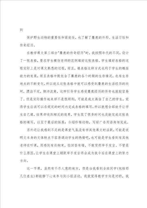 麋鹿教学教师反思