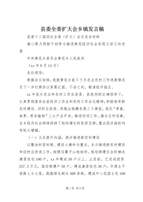 县委全委扩大会乡镇发言稿.docx