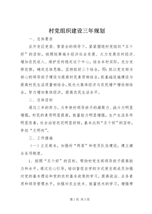 村党组织建设三年规划.docx