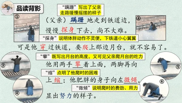 14 背影 课件