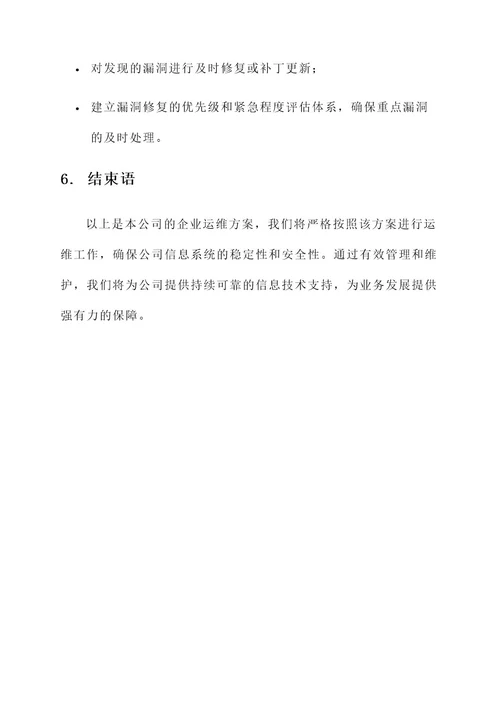 公司企业运维方案