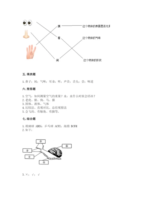 教科版一年级下册科学期末测试卷及完整答案（夺冠系列）.docx