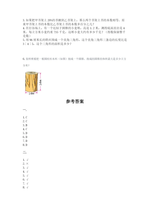 洛阳市小学数学小升初试卷带答案ab卷.docx