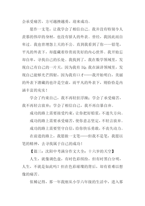 中考满分作文-7.docx
