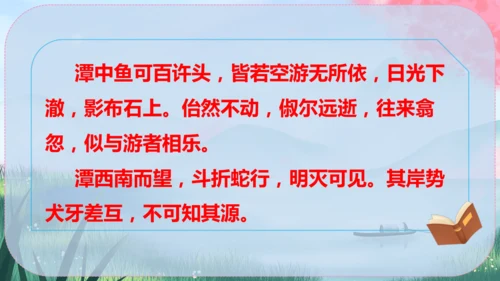 10《小石潭记》课件