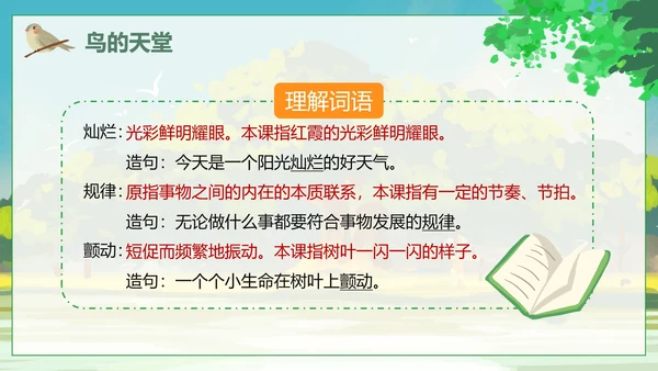 人教版语文四年级上册鸟的天堂课件PPT模板