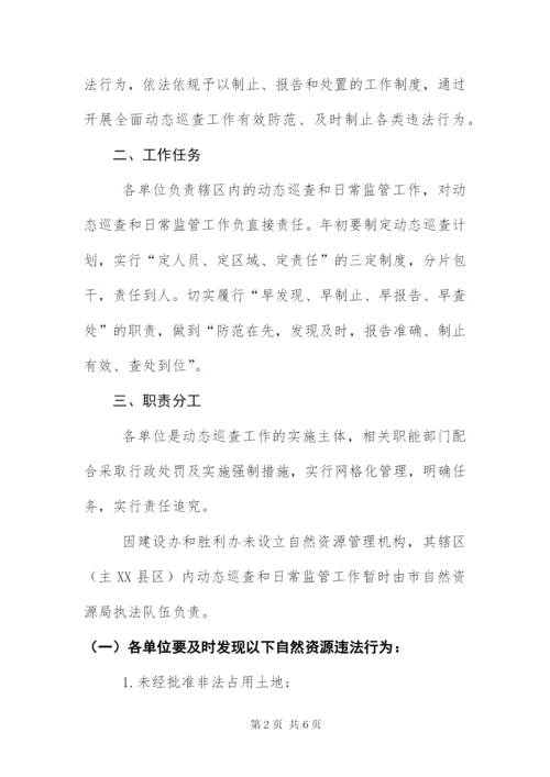 自然资源执法监察动态巡查工作方案.docx