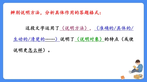 期末专项复习 说明文阅读复习（课件）-2024-2025学年语文五年级上册（统编版）