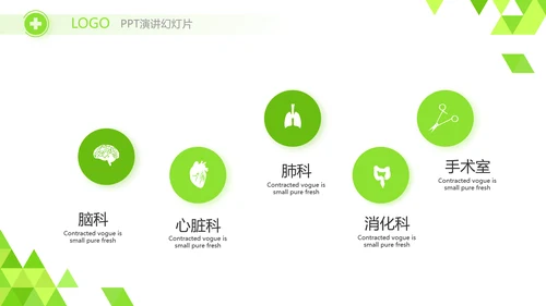 绿色智慧医疗信息化建设工作总结PPT