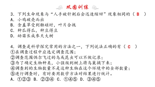 1.1 认识生物 2023-2024学年七年级生物上学期期末考点大串讲（人教版）(共19张PPT)