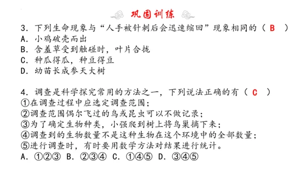 1.1 认识生物 2023-2024学年七年级生物上学期期末考点大串讲（人教版）(共19张PPT)