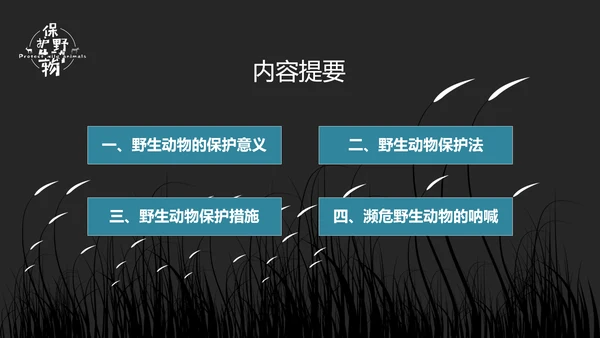 保护野生动物老虎PPT模板
