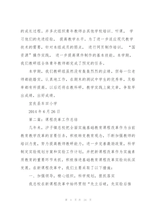 课程改革工作总结.docx