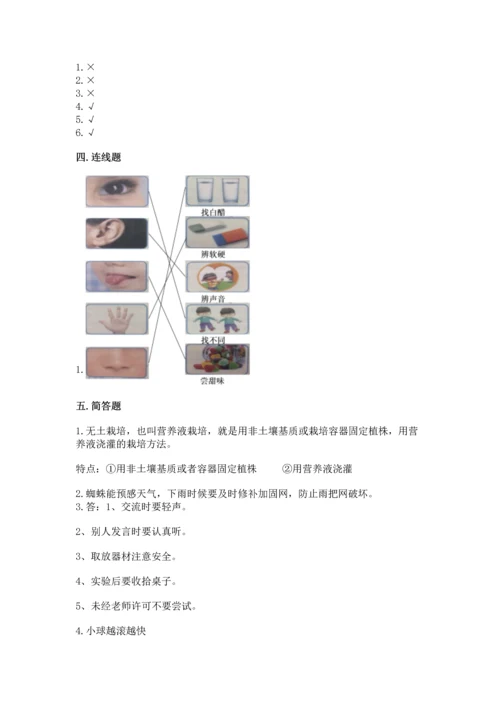 苏教版一年级上册科学 期末测试卷含下载答案.docx