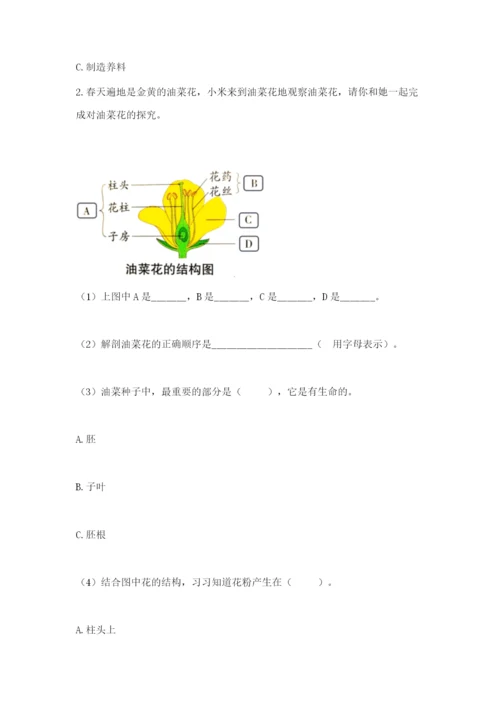 科学四年级下册第一单元《植物的生长变化》测试卷附完整答案【名校卷】.docx