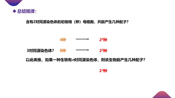 初高中生物课减数分裂作用PPT教学课件