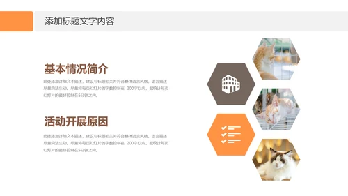 简约风宠物店商业计划书爱宠猫咪PPT模板