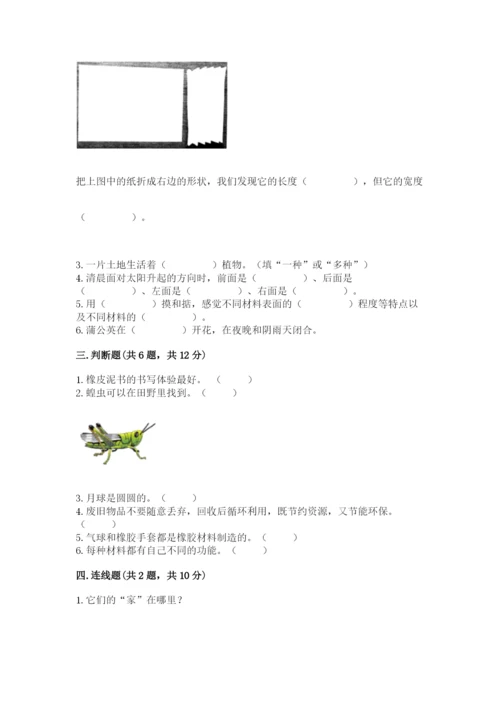 教科版小学二年级上册科学期末测试卷完美版.docx