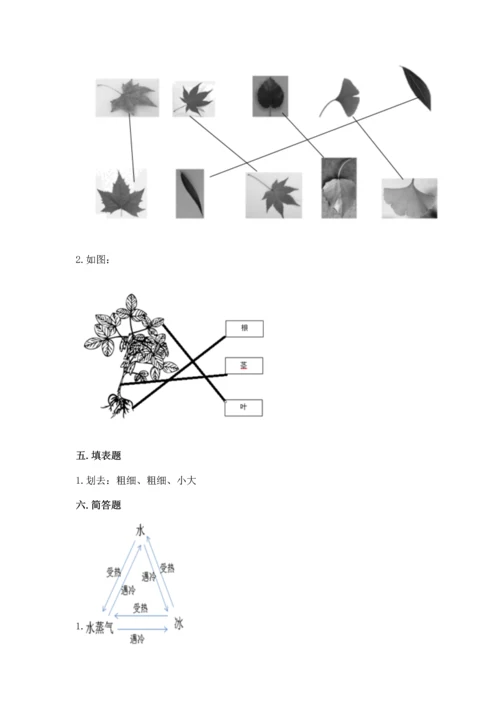 教科版科学一年级上册第一单元《植物》测试卷【名师系列】.docx