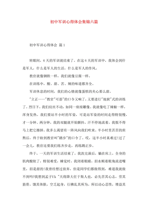 初中军训心得体会集锦六篇（一）.docx