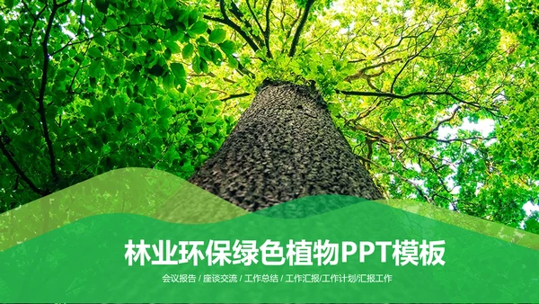 环保绿色森林林业管理工作汇报PPT模板